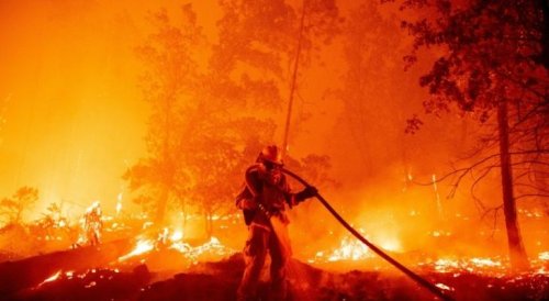 ارتفاع عدد ضحايا حرائق الغابات بالجزائر إلی 5 وفيات
