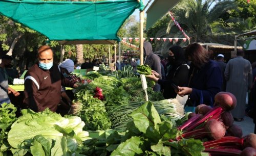 إقبال جماهيري بحريني وخليجي علی سوق المزارعين منذ افتتاحه نهاية ديسمبر