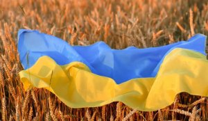 أوكرانيا تضرم النار في حقول القمح بمنطقة زابوروجيه
